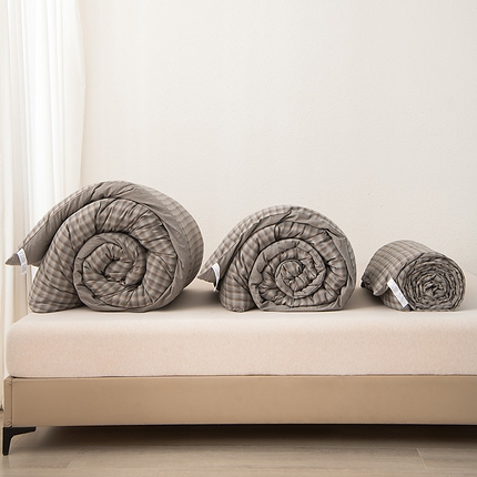 翰轩家居 2025新款多规格全棉A类色织水洗棉活套可拆洗四季款大豆被 爵士