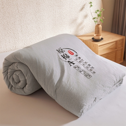 91家纺网 家纺一手货源 找家纺 （总）招财星家纺 2025新款直播热款超柔水洗棉冬被原棉大豆被纤维被夏凉被春秋被冬被被子被芯