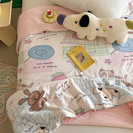 暖生活 2025新款双面可用绵绵冰双感夏被 小房子