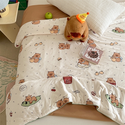 暖生活 2025新款双面可用绵绵冰双感夏被 小皮卡