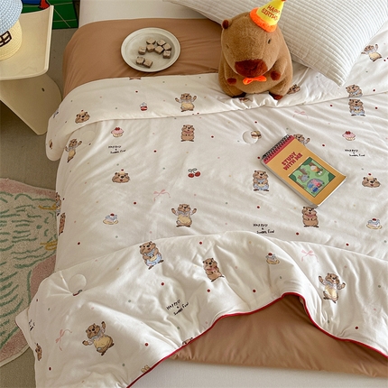 暖生活 2025新款双面可用绵绵冰双感夏被 土拨鼠