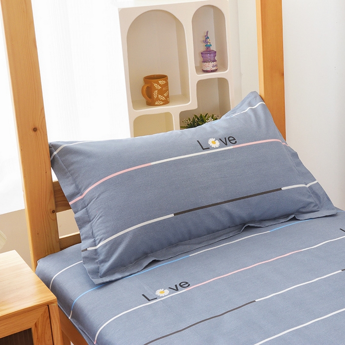 91家纺网 家纺一手货源 找家纺 凌云2025年新品全棉学生宿舍床垫套全包拉链式床笠单件纯棉床罩保护套 雏菊暗恋