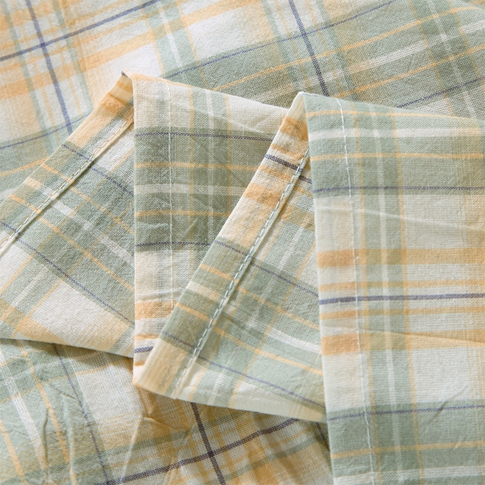 91家纺网 家纺一手货源 找家纺 春皖家纺 2025新款学生季全棉纯棉色织AB版水洗棉单品系列-单床单 床单单件 翠竹-果条