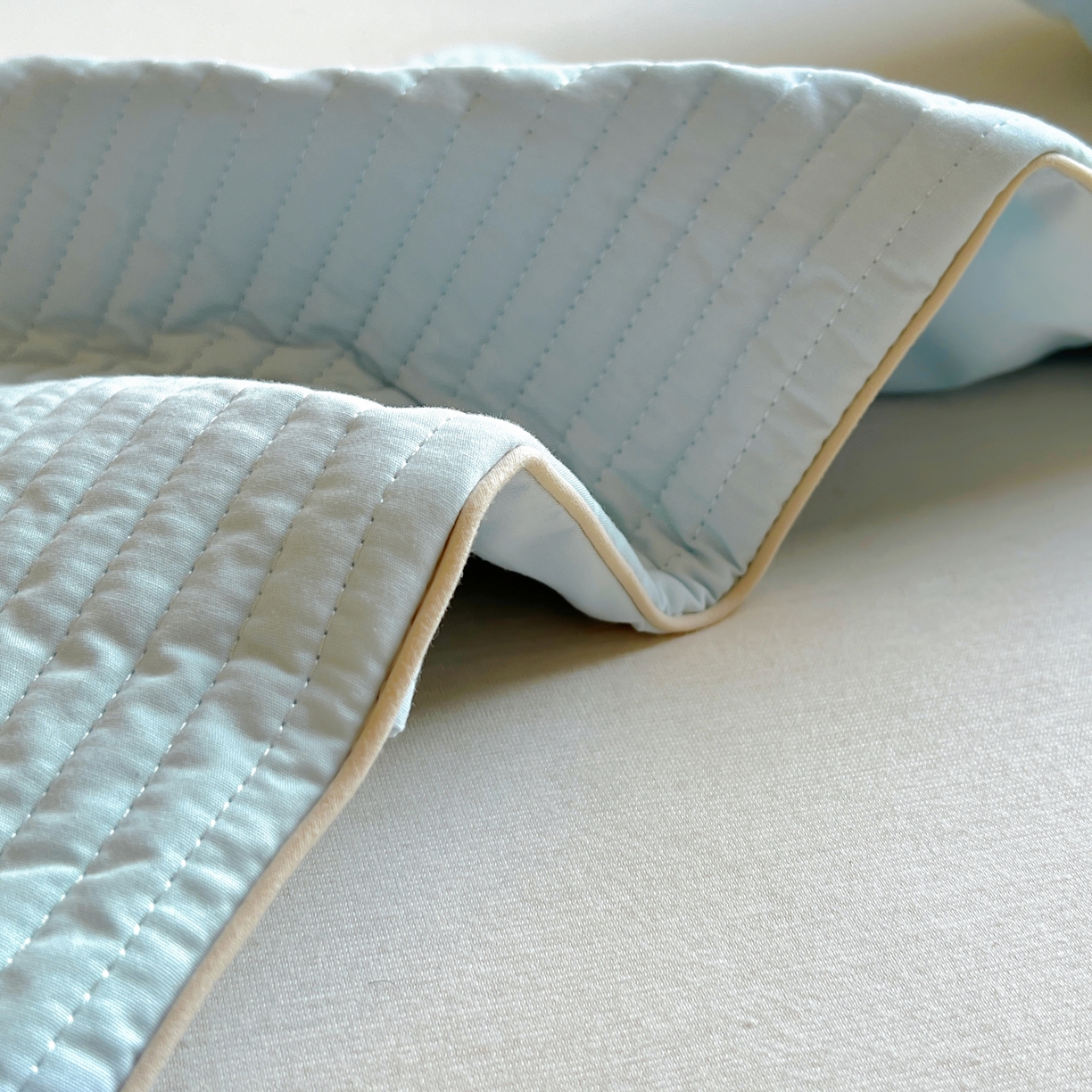 91家纺网 家纺一手货源 找家纺 百寐 2025新款A类水洗全棉绗缝夹棉-单枕套(不含芯) 眼睛狗-天空蓝