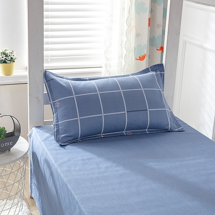 91家纺网 家纺一手货源 找家纺 小叮当家纺仓储工厂店 提供买家秀爆款花型不断货）2025新款全棉AB版13372学生宿舍印花三件套双面纯棉床单款上下铺单人 小时光-蓝