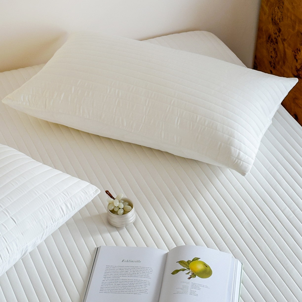 91家纺网 家纺一手货源 找家纺 三味舒屋 2025新款韩风小时光宽条全棉纯棉夹棉床笠系列单床笠床笠单件 时光白