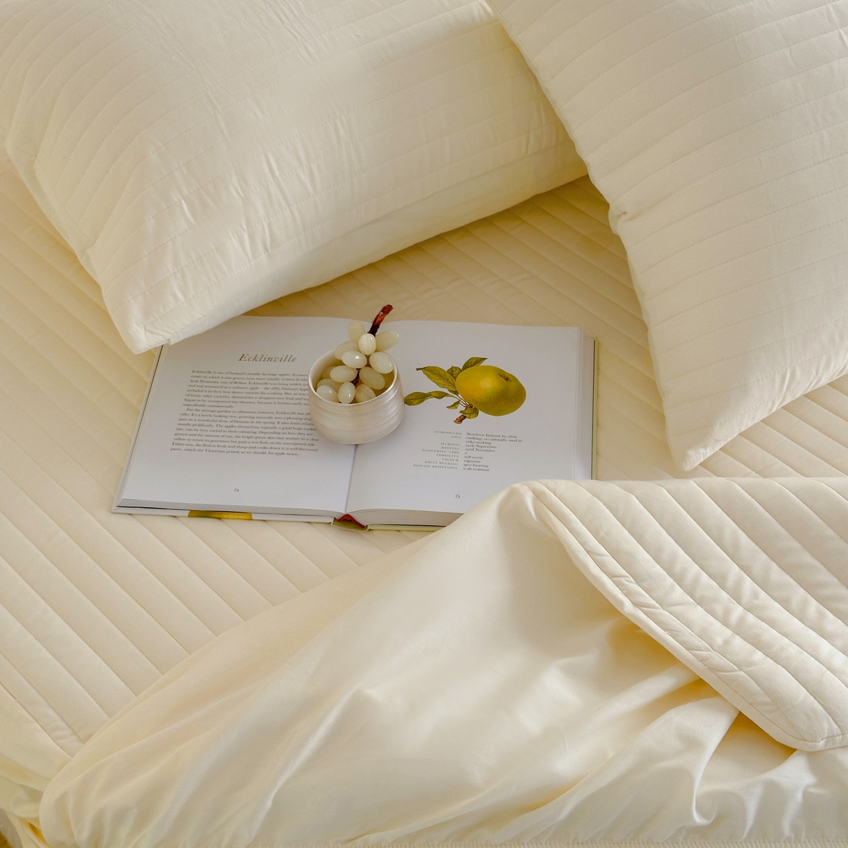 91家纺网 家纺一手货源 找家纺 三味舒屋 2025新款韩风小时光宽条全棉纯棉夹棉床笠系列单床笠床笠单件 时光浅黄