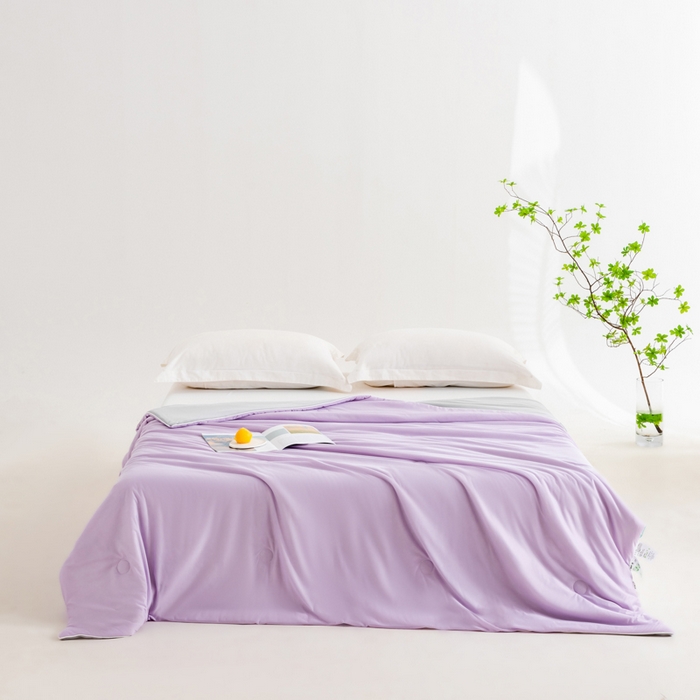 91家纺网 家纺一手货源 找家纺 莱家富 2025新款A类云母凉感丝冰淇淋夏被天丝瓜瓜夏被夏凉被空调被 丁香紫+灰