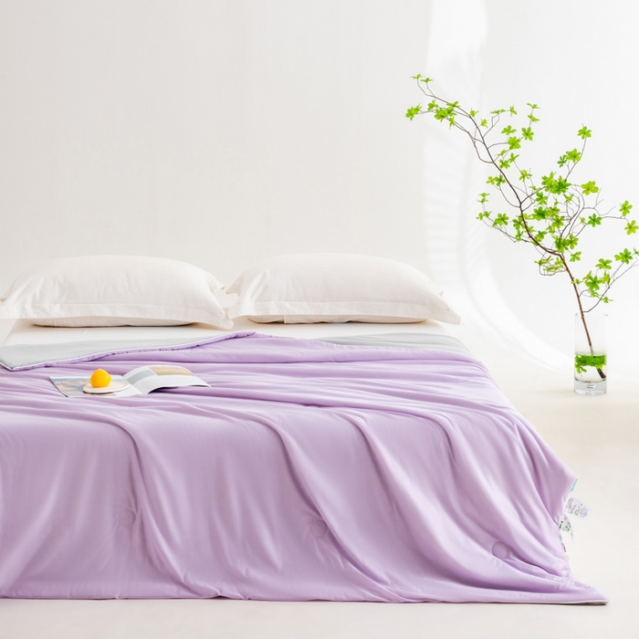 91家纺网 家纺一手货源 找家纺 莱家富 2025新款A类云母凉感丝冰淇淋夏被天丝瓜瓜夏被夏凉被空调被 丁香紫+灰