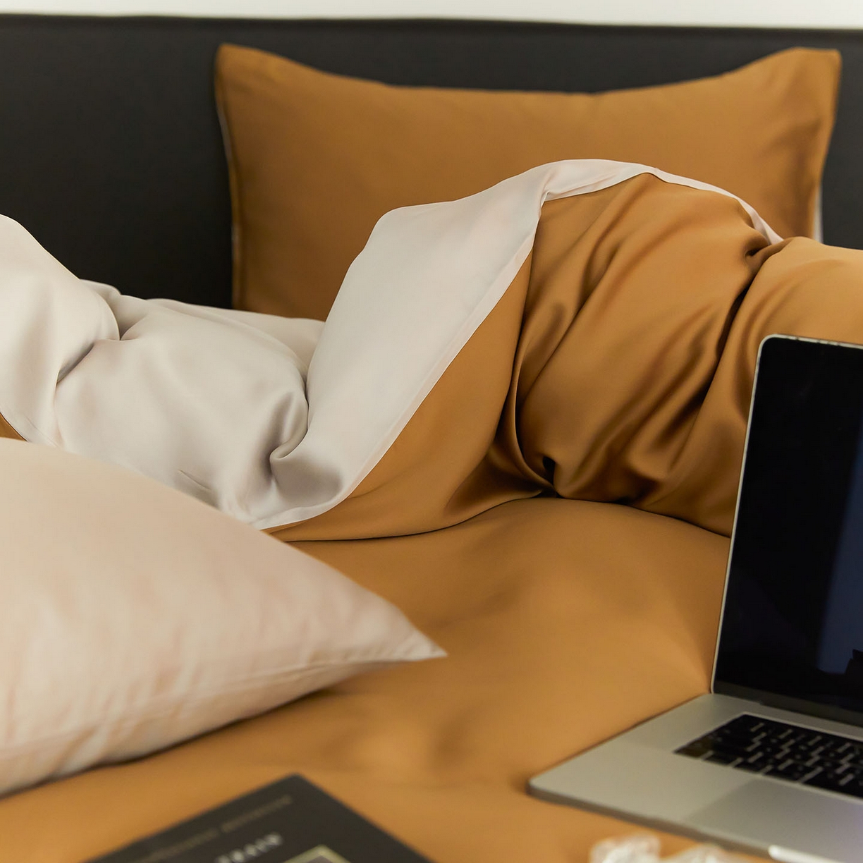 91家纺网 家纺一手货源 找家纺 群鹿蚕丝羽绒馆 2025新款60支兰精天丝纯色双拼四件套 敦煌色-曙光银