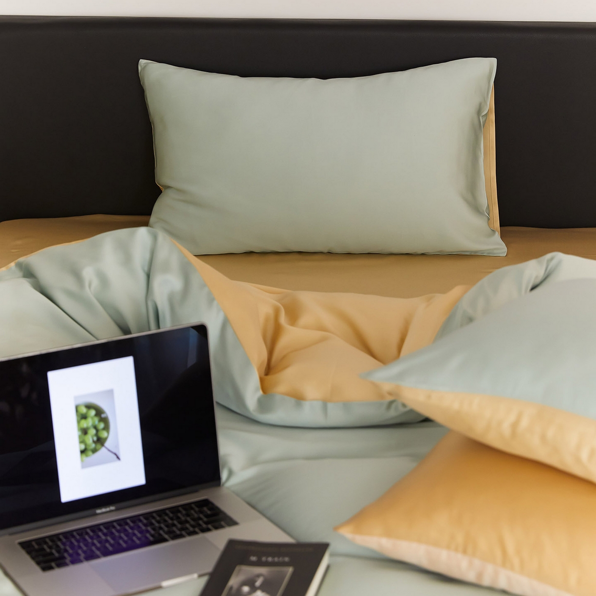 91家纺网 家纺一手货源 找家纺 群鹿蚕丝羽绒馆 2025新款60支兰精天丝纯色双拼四件套 浅艾绿-香槟金