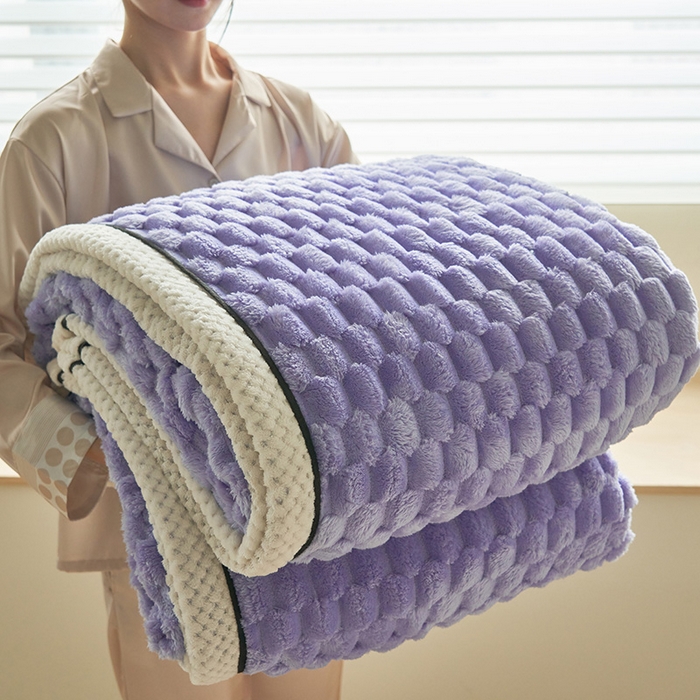 91家纺网 家纺一手货源 找家纺 （总）乐家欣 2025新款A类金龟绒多功能毛毯高克重法莱绒牛奶绒贝贝绒保暖毛毯