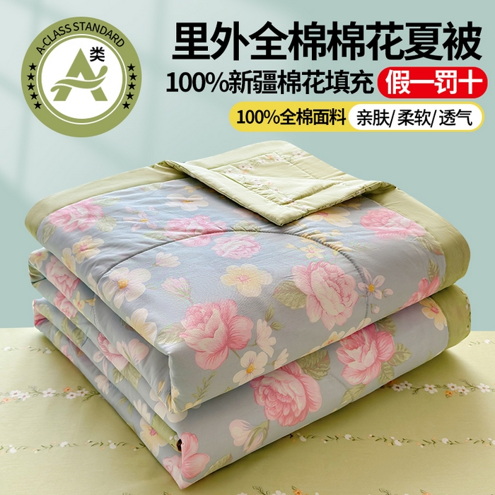 91家纺网 家纺一手货源 找家纺 （总）蓝雀翎 2025新款全棉印花新疆棉花夏被