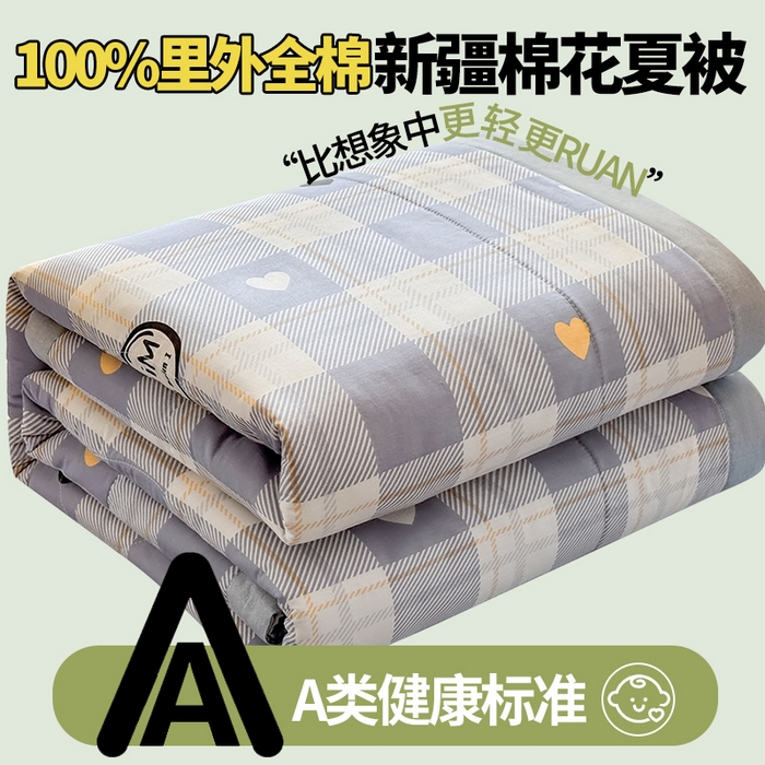 91家纺网 家纺一手货源 找家纺 蓝雀翎 2025新款全棉印花新疆棉花夏被 爱达拉
