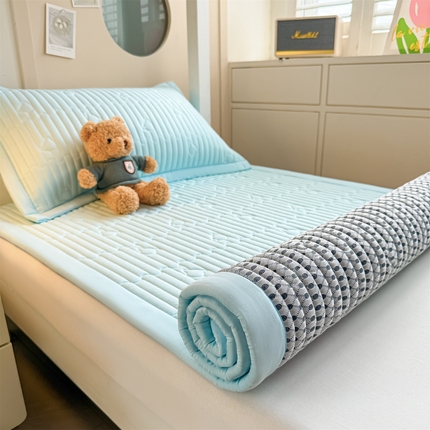 （总）雯豆家纺 2025新款学生宿舍夹棉床褥薄垫子上下铺床单人床护垫