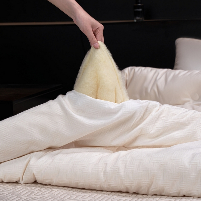 91家纺网 家纺一手货源 找家纺 （总）朴罗 （ 原岚图） 2025新款李官奇全棉大豆被被子被芯