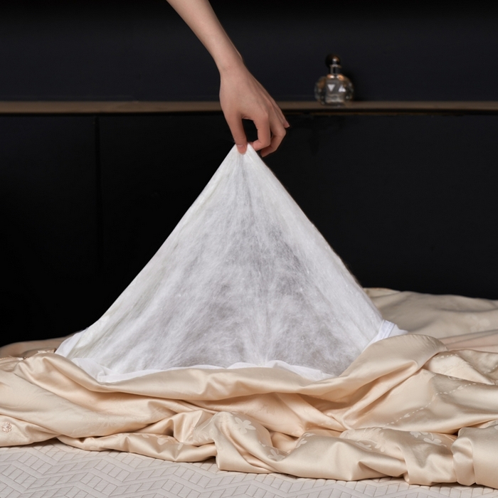 91家纺网 家纺一手货源 找家纺 朴罗 （ 原岚图） 2025新款天然有机蚕丝被被子被芯 香槟金