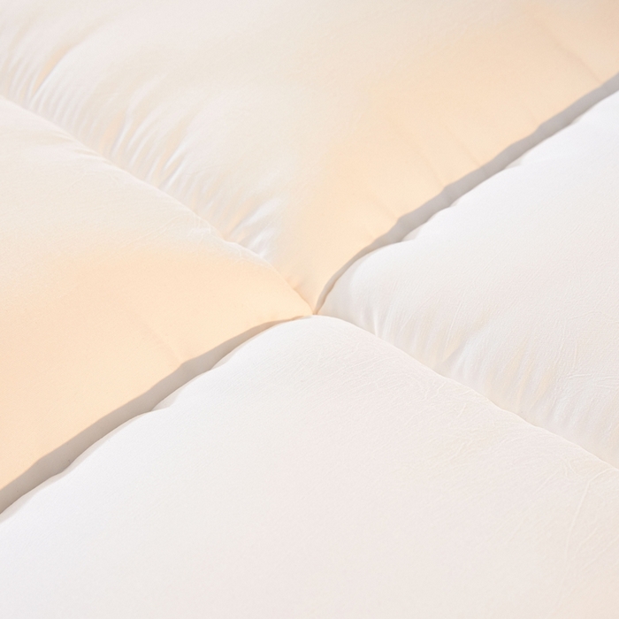 91家纺网 家纺一手货源 找家纺 （总）富威堡2025新款酒店家用卧室褥子租房专用单人学生床垫宿舍折叠加厚床垫软垫