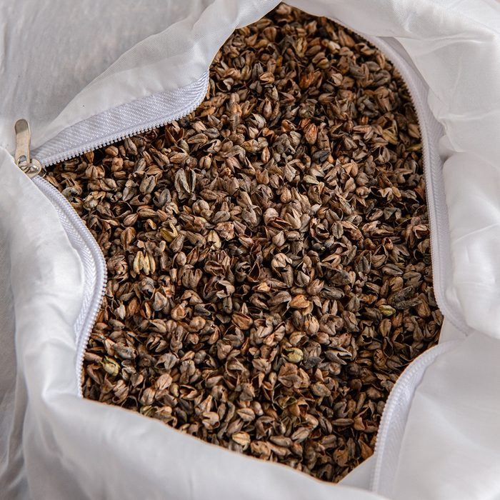 91家纺网 家纺一手货源 找家纺 大熊枕芯 2025新款全棉纯棉三角兔子荞麦枕全荞麦壳颈椎枕午睡护颈枕头枕芯 三角兔-小熊粉 50x15x15cm/只