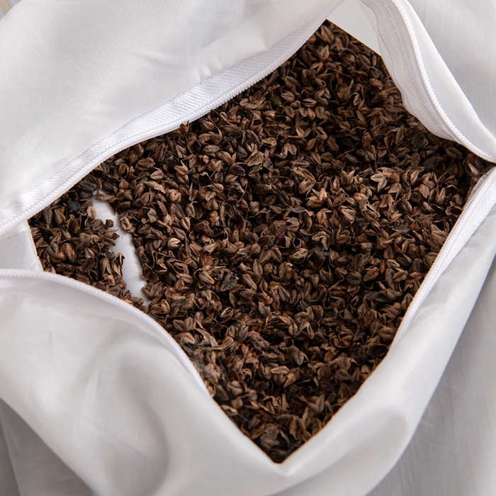 91家纺网 家纺一手货源 找家纺 大熊枕芯 2025新款全棉纯棉3d宫廷荞麦枕全荞麦壳枕头枕芯 3d宫廷荞麦枕-浅蓝 35x55cm/对