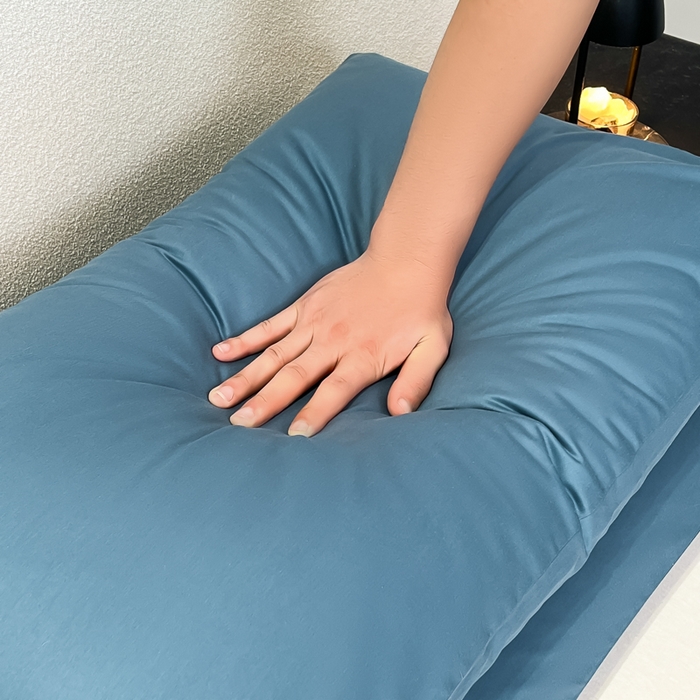 91家纺网 家纺一手货源 找家纺 暖季家纺 2025新款全棉13376单枕套系列 40-纯色宾利蓝