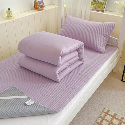 （总）漫时光 2025新款学生床纯棉素色床盖夹棉床笠 三件套