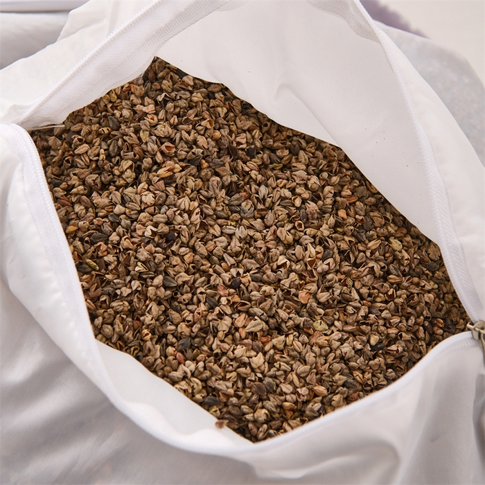 91家纺网 家纺一手货源 找家纺 大熊枕芯 2025新款全棉纯棉三角兔子荞麦枕全荞麦壳颈椎枕午睡护颈枕头枕芯 三角兔-田园紫 50x15x15cm/只