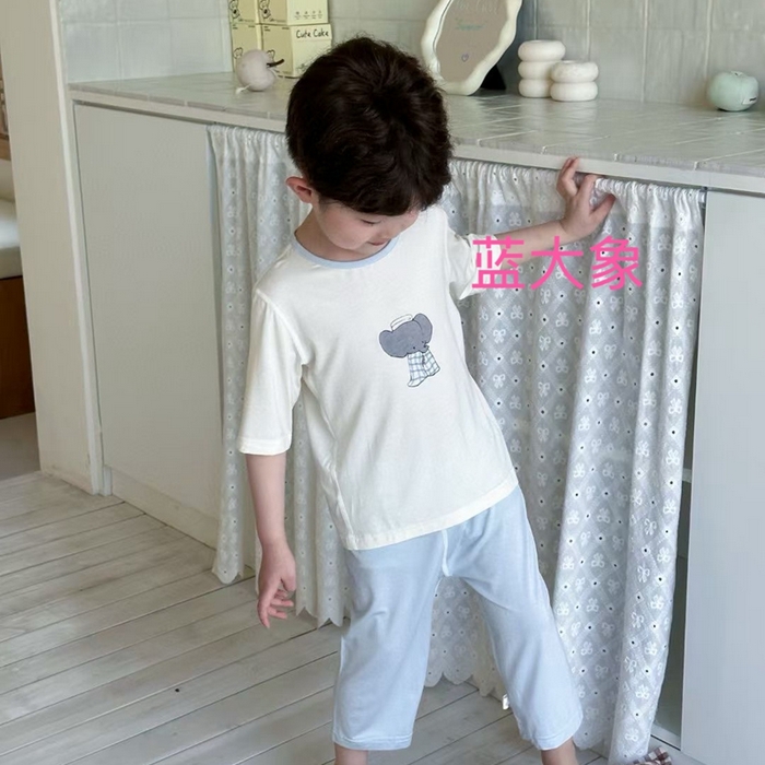 妍景家居生活馆 2025春夏新款儿童优可丝男童套装 蓝大象