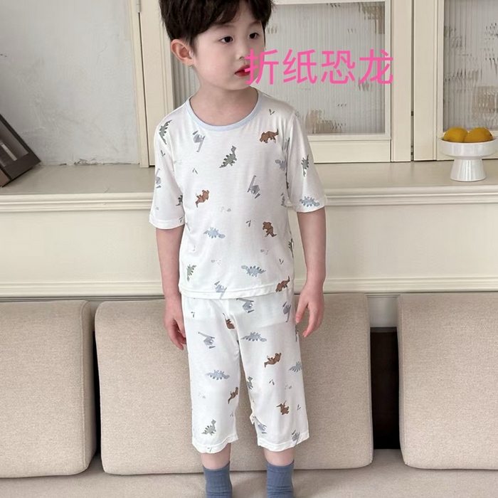 妍景家居生活馆 2025春夏新款儿童优可丝男童套装 折纸恐龙