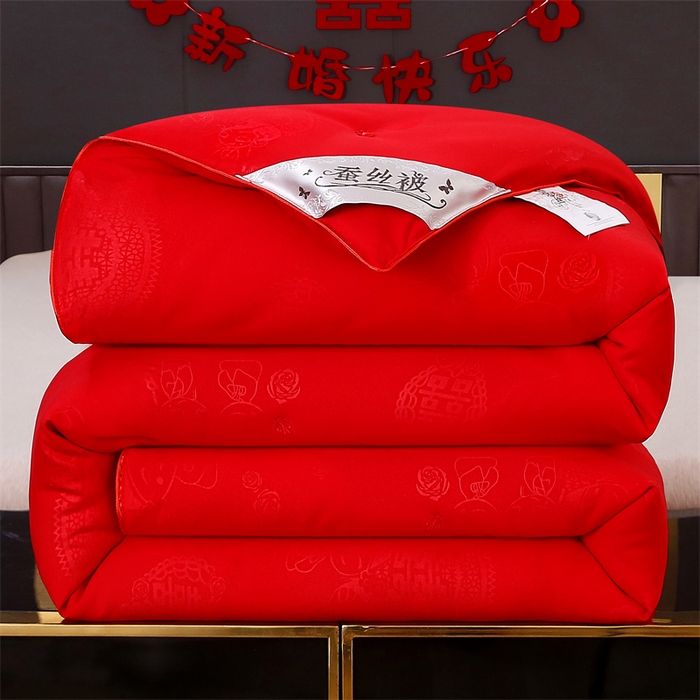 91家纺网 家纺一手货源 找家纺 （总）恒鑫家纺 2025新款全棉提花蚕丝被被子被芯