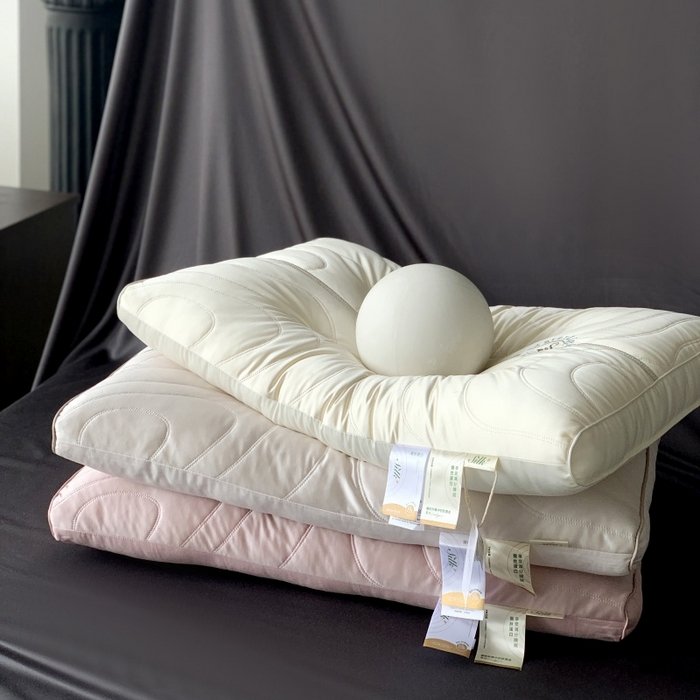 （总）方回家纺2025新款优雅水光蚕丝复合枕