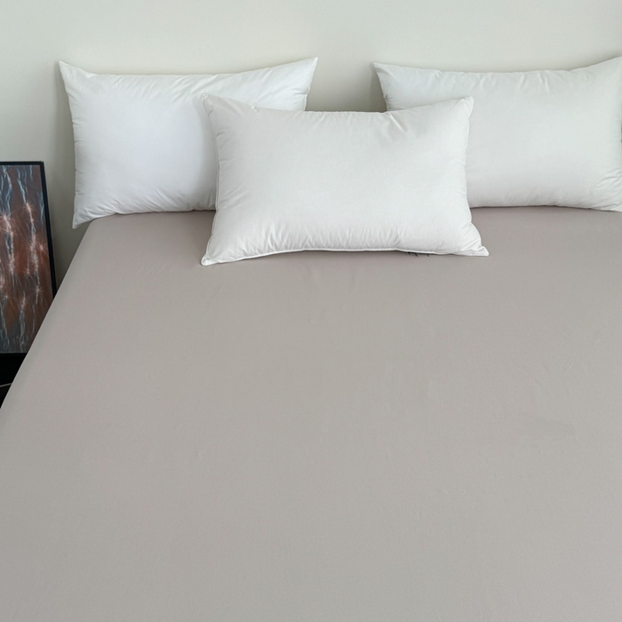 91家纺网 家纺一手货源 找家纺 （总）艾迪尚家纺 2025新款生态全棉纯棉磨毛印花单品系列-单床单床单单件