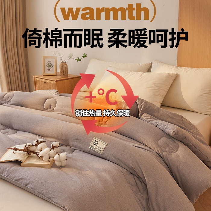 91家纺网 家纺一手货源 找家纺 西域种棉人·千百笠 2025新款A类抗菌里外全棉100%新疆棉花褥子床垫垫被软垫家用棉花被褥铺底 夏洛被子-灰