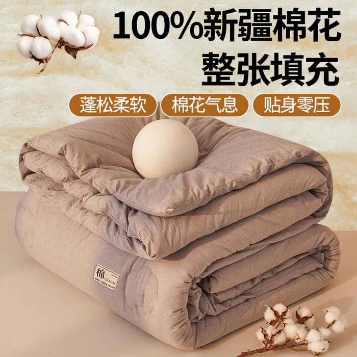 91家纺网 家纺一手货源 找家纺 西域种棉人·千百笠 2025新款A类抗菌里外全棉100%新疆棉花褥子床垫垫被软垫家用棉花被褥铺底 夏洛被子-灰