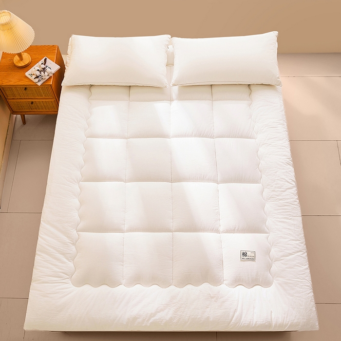 91家纺网 家纺一手货源 找家纺 （总）西域种棉人·千百笠 2025新款A类抗菌里外全棉100%新疆棉花褥子床垫垫被软垫家用棉花被褥铺底