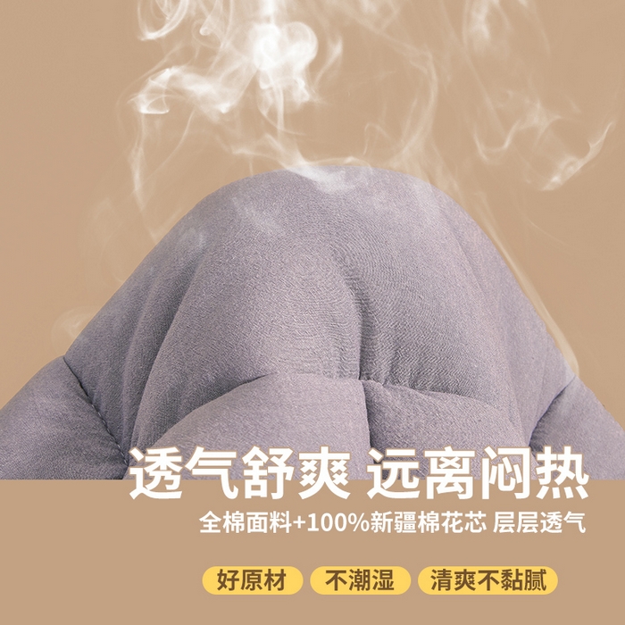91家纺网 家纺一手货源 找家纺 西域种棉人·千百笠 2025新款A类抗菌里外全棉100%新疆棉花褥子床垫垫被软垫家用棉花被褥铺底 夏洛床垫-灰