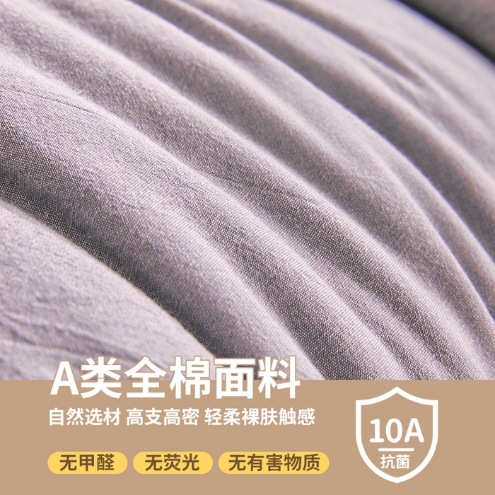 91家纺网 家纺一手货源 找家纺 西域种棉人·千百笠 2025新款A类抗菌里外全棉100%新疆棉花褥子床垫垫被软垫家用棉花被褥铺底 夏洛床垫-灰
