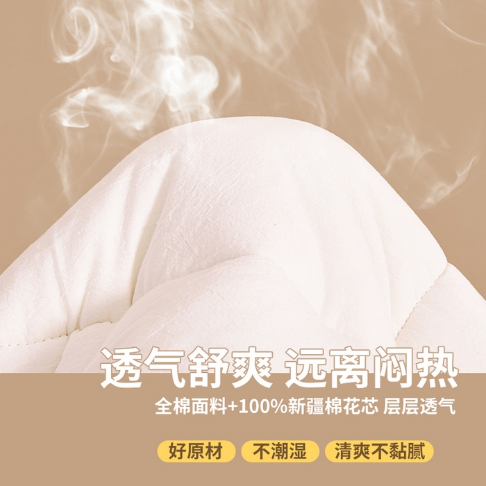 91家纺网 家纺一手货源 找家纺 西域种棉人·千百笠 2025新款A类抗菌里外全棉100%新疆棉花褥子床垫垫被软垫家用棉花被褥铺底 夏洛床垫-白