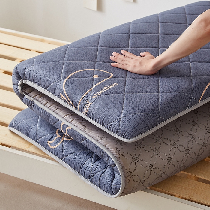 91家纺网 家纺一手货源 找家纺 暖季家纺 2025新款磨毛印花亲肤学生床垫 海中王