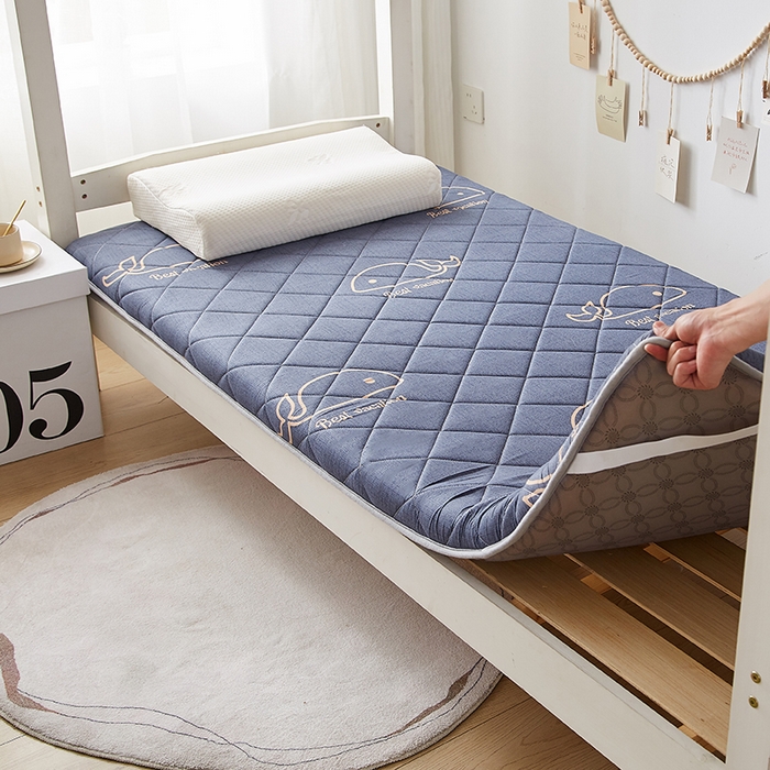 91家纺网 家纺一手货源 找家纺 暖季家纺 2025新款磨毛印花亲肤学生床垫 海中王