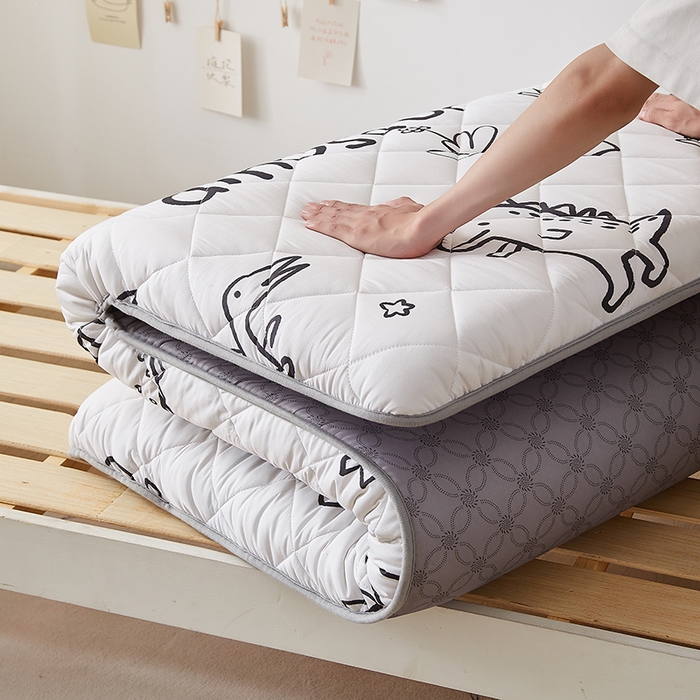 91家纺网 家纺一手货源 找家纺 暖季家纺 2025新款磨毛印花亲肤学生床垫 素描恐龙