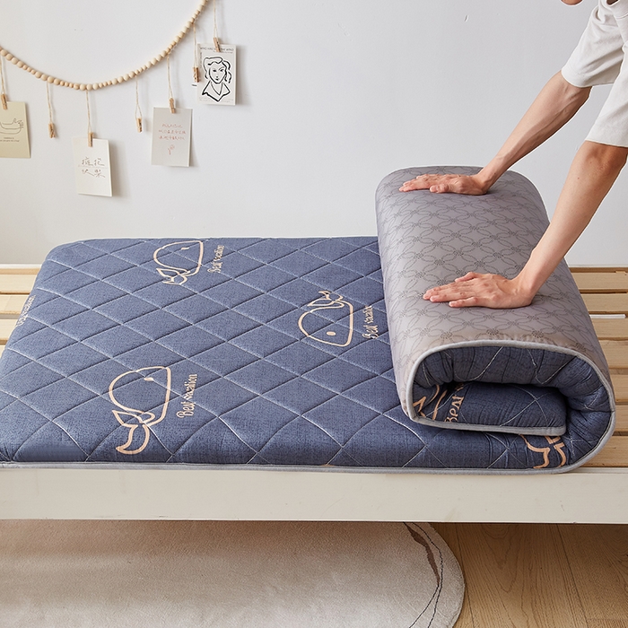 91家纺网 家纺一手货源 找家纺 暖季家纺 2025新款磨毛印花亲肤学生床垫 海中王