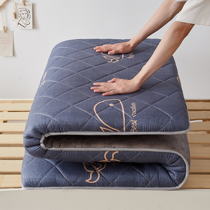 91家纺网 家纺一手货源 找家纺 暖季家纺 2025新款磨毛印花亲肤学生床垫 海中王