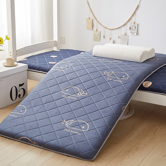 91家纺网 家纺一手货源 找家纺 暖季家纺 2025新款磨毛印花亲肤学生床垫 海中王