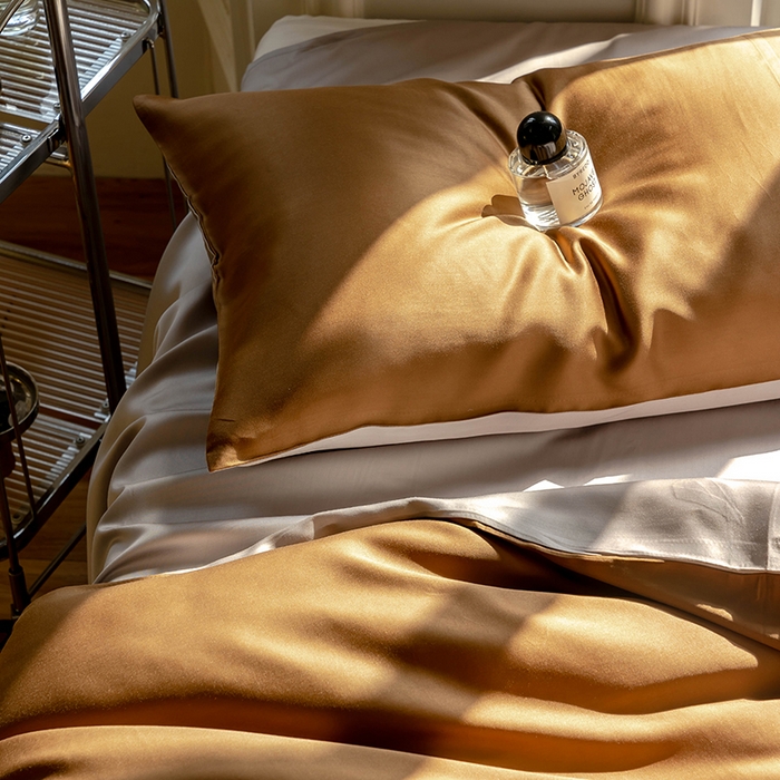 91家纺网 家纺一手货源 找家纺 威克凯丽 2025新款60支纯色兰精天丝四件套--风格一 敦煌色-曙光银