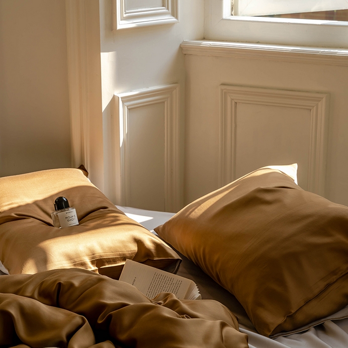 91家纺网 家纺一手货源 找家纺 威克凯丽 2025新款60支纯色兰精天丝四件套--风格一 敦煌色-曙光银