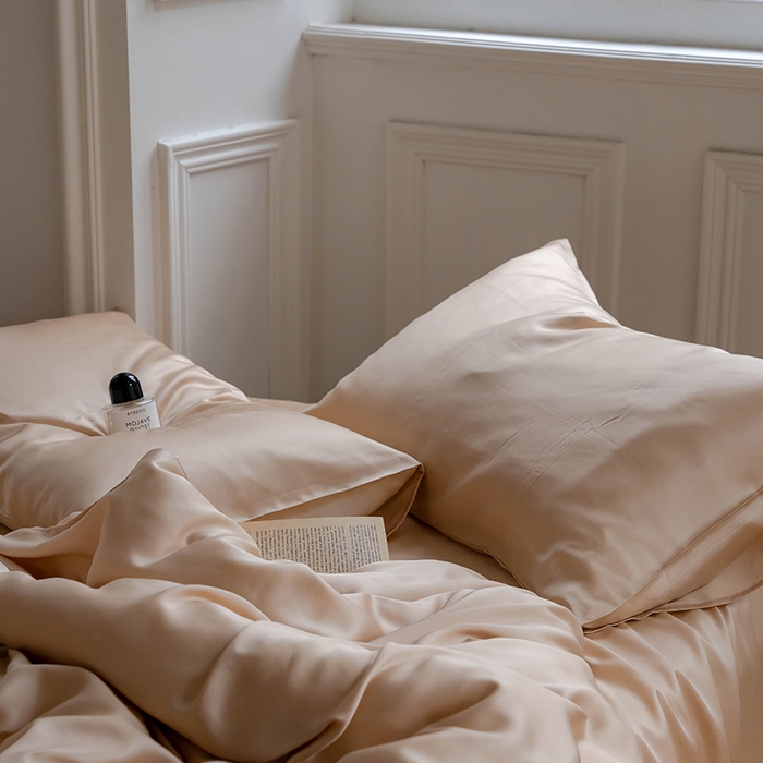 91家纺网 家纺一手货源 找家纺 威克凯丽 2025新款60支纯色兰精天丝四件套--风格一 沙茶色