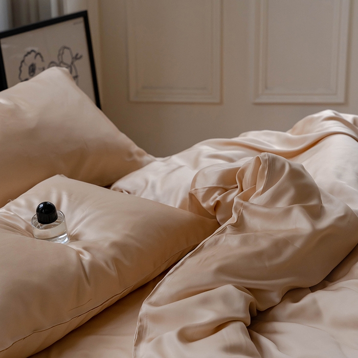 91家纺网 家纺一手货源 找家纺 威克凯丽 2025新款60支纯色兰精天丝四件套--风格一 沙茶色