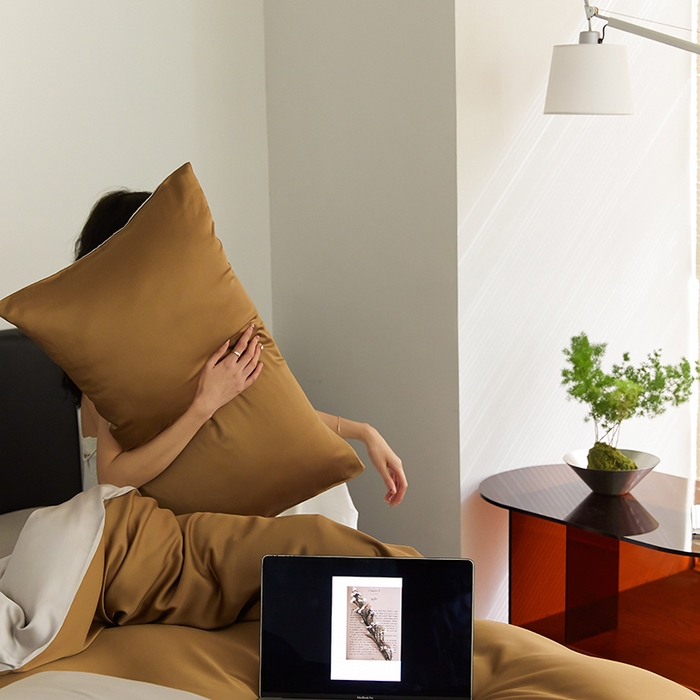 91家纺网 家纺一手货源 找家纺 威克凯丽 2025新款60支纯色兰精天丝四件套--风格二 敦煌色-曙光银