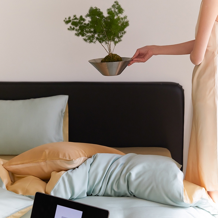 91家纺网 家纺一手货源 找家纺 威克凯丽 2025新款60支纯色兰精天丝四件套--风格二 浅艾绿-香槟金